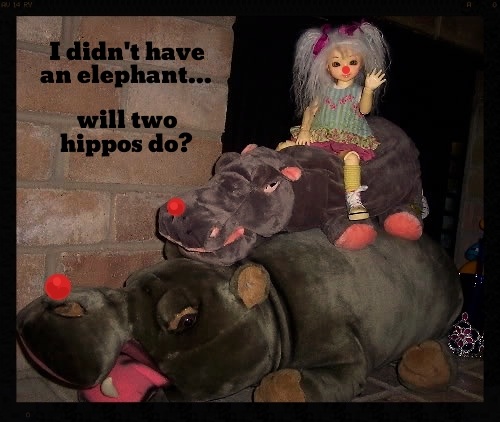 Hippo & BJD